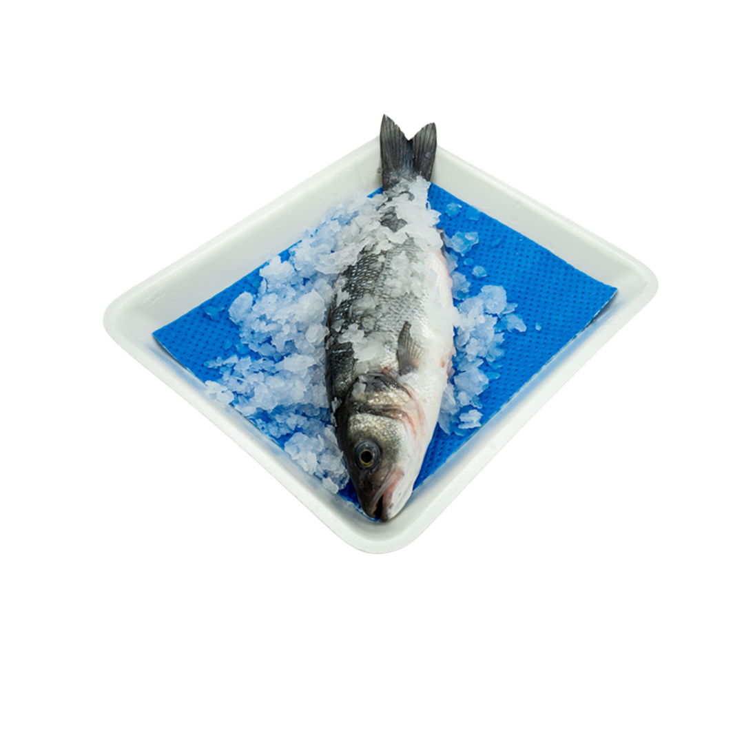 Axorbia Fish Pad under a whole fish in a white tray