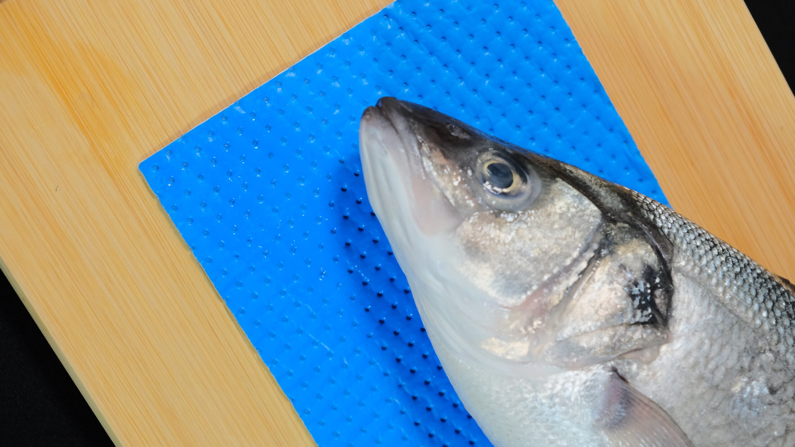 Whole sea bass resting on a blue absorbent pad